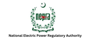 Pakistani Power Firms urged to establish Cyber Security guidelines