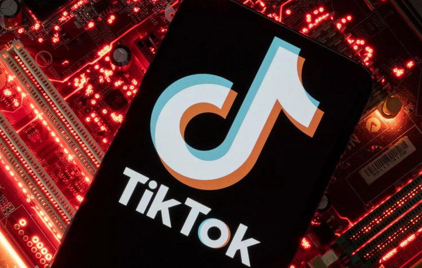 Tiktok banned in EU amidst data privacy concerns