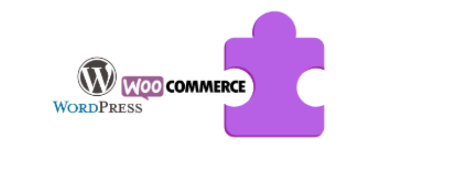 WooCommerce Payment Plugin vulnerability Fixed for WordPress